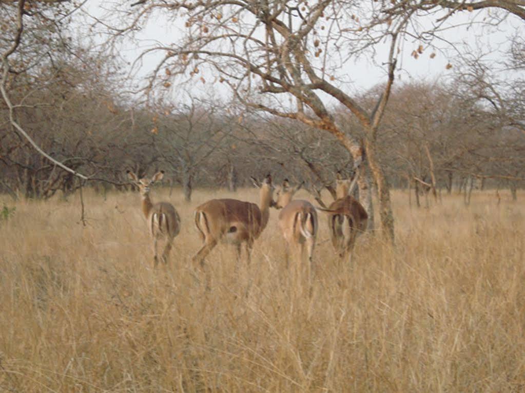 Maduma Boma Game Conservancy โฮดสปรูท ภายนอก รูปภาพ